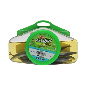 Berkley Gulp! Sandeel Sapphire Shiner